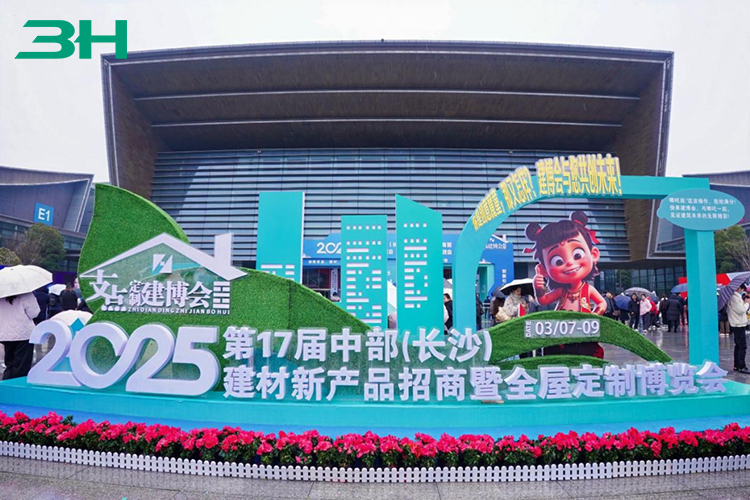 معرض تشانغشا (6)